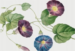 Fotótapéta Flizelin Hálószoba fal Virágos elegancia 152x104