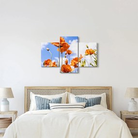 Pipacsok képe (90x60 cm)