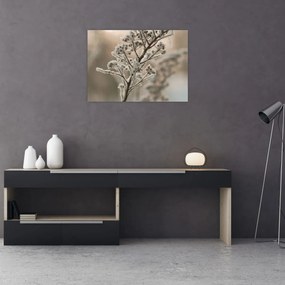 Kép - Növény fagyban (70x50 cm)