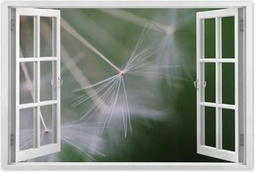 Poszterek 90x60 Pitypang Virág Virágok