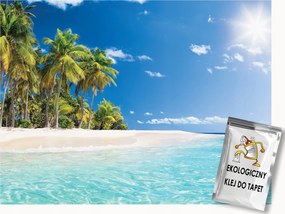 Fotótapéta Flizelina Tájkép Karib-tenger Sziget Óceán Pálmafák 250x175 ragasztó