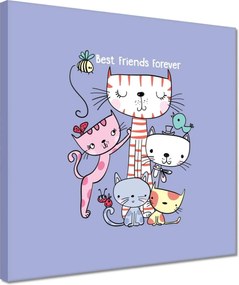 Képek 30x30 macska cica macskák