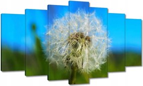 Vászonkép 140x80 Pitypang Virág Virágok