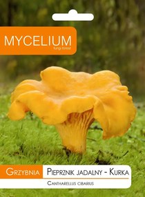 Kakas, Ehető Bors micélium erdei gomba