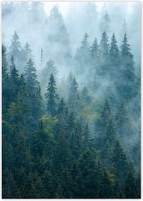 Poszterek A2 Pion Erdő a ködben Utazás