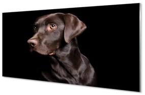 Akrilkép barna kutya 120x60 cm
