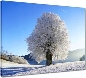 Vászonkép 50x40 Téli fa kép