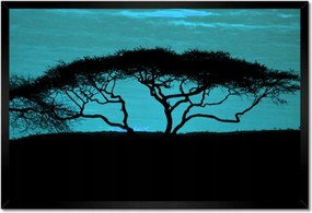 Poszterek keretben 60x40 Akác a szavannán