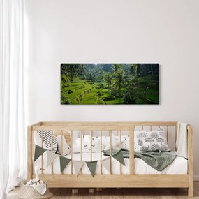 Kép a rizs teraszokról, Tegalalang, Bal (120x50 cm)