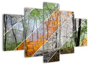 Kép - Változó évszakok (150x105 cm)