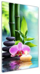 Egyedi üvegkép Orchidea és bambusz osv-87258521