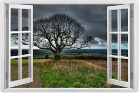 Poszterek 60x40 Fa tájkép