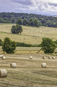 Poszter 53x81cm Szénakazalok a mezőkön, Assaf Frank