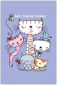 Poszterek 80x120 Cica CicĂĄk MacskĂĄk