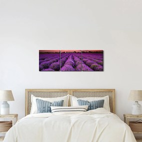Kép - Levendula mező (órával) (90x30 cm)
