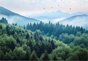 3D Fotótapéta Hegyek Erdő Köd Természet Hálószoba Nappali Tapéta Flizelina 200x140