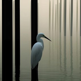 Poszter 90x90cm Köd a vízen