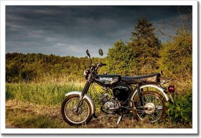 Poszterek keretben 60x40 Fekete Simson a szabadban