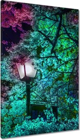 Vászonkép 80x120 Éjszakai motívum a konyhába