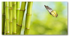 Akrilkép Bamboo és a pillangó oah-69817087