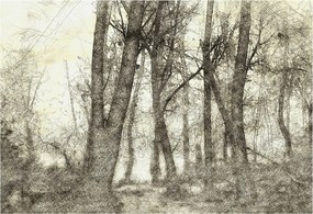 Fotótapéta Flizelin a ház szobájába 3D Erdei melankólia 152x104 Ragasztó