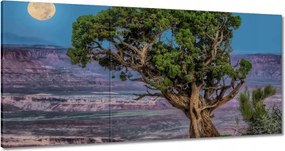 Festmények 180x90 Kilátás Tájkép