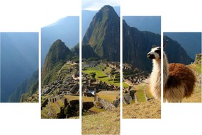 Kép - Láma és Machu Picchu (150x105 cm)