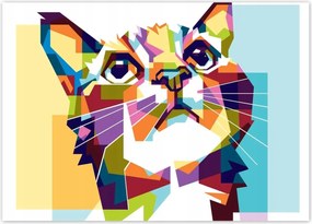 Poszterek 70x50 Absztrakt macska