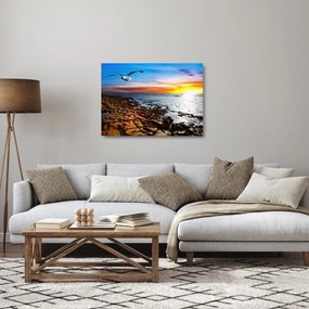 Üveg kép - Sirály repül a tengerpart felett (70x50 cm)