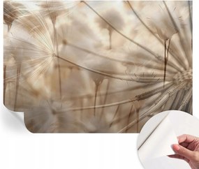 Öntapadós fotótapéta falra 3D Loft Finom pitypangok 208x146 cm