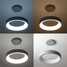 Brilagi - LED Dimmelhető csillár zsinóron LED/40W/230V 3000-6500K szürke + távirányító