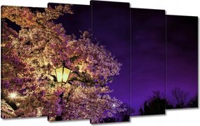 Festmények 100x60 Éjszakai motívum a nappaliba