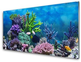 Akril üveg kép Akváriumi halak a víz alatt 120x60 cm