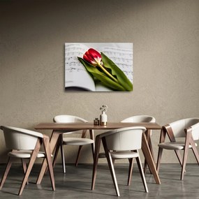 Egy vörös tulipán képe (üvegen) (70x50 cm)