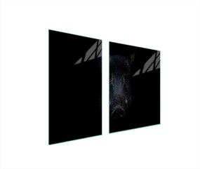 Ăveglap Ăs VĂĄgĂłdeszka 100x52 VaddisznĂł Edzett Ăveg