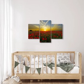Egy kép a pipacs mezőről (90x60 cm)