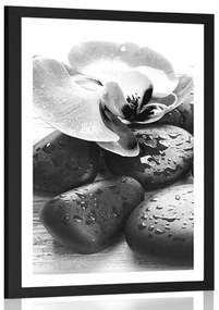 Poszter paszportuval kövek és orchideák varázslatos összjátéka fekete-fehérben