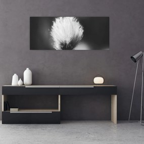 Kép - Fekete-fehér pamutfű (120x50 cm)
