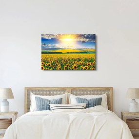 Kép - Napraforgó mező (90x60 cm)
