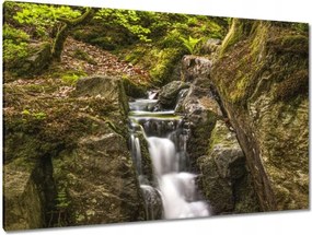 Vászonkép 120x80 Vízesés Erdei zuhatag