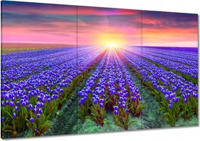 Vászonkép 120x80 Tulipánok tengere Tulipánok