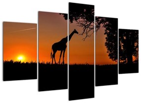 Modern képek - állatok (150x105cm)