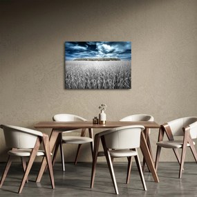 A mező képe (70x50 cm)