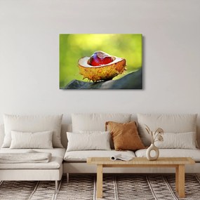 Gesztenye képe (90x60 cm)