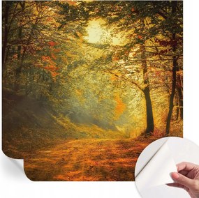 Öntapadós Stílusos Dekoratív Fotótapéta Őszi tájkép 250x250 cm