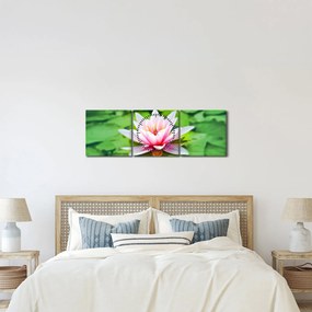 A tavirózsa képe a felszínen (órával) (90x30 cm)