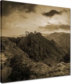 Vászonkép 40x40 Barna tájkép Tájkép