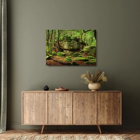 Egy varázslatos erdő képe (üvegen) (70x50 cm)
