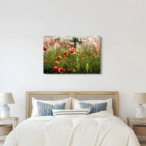 Pipacsok képe (90x60 cm)