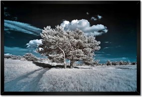 Poszterek keretben 60x40 Fa